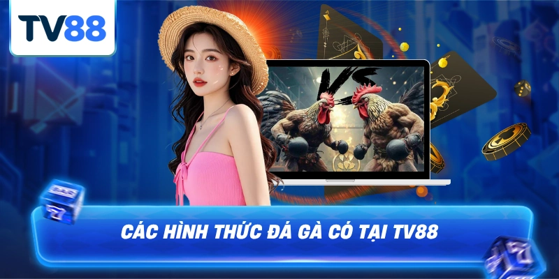 Các hình thức đá gà TV88 có