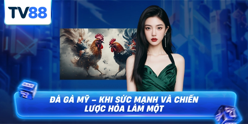 Trận đấu cược kì hấp dẫn và hòa mình vào trận đấu