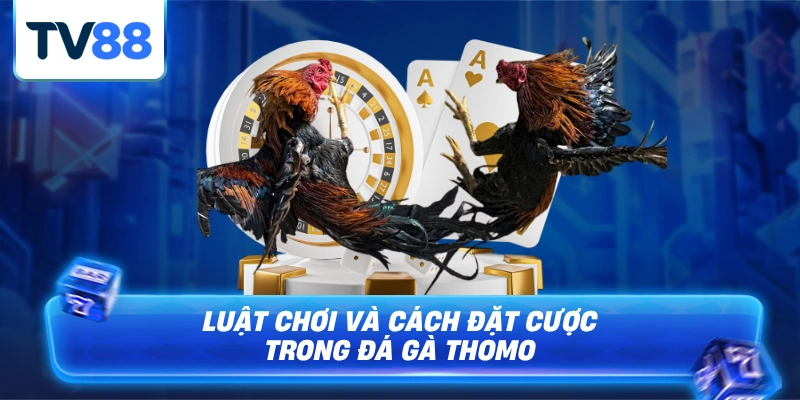 Cách đặt cược hiệu quả bảo toàn vốn