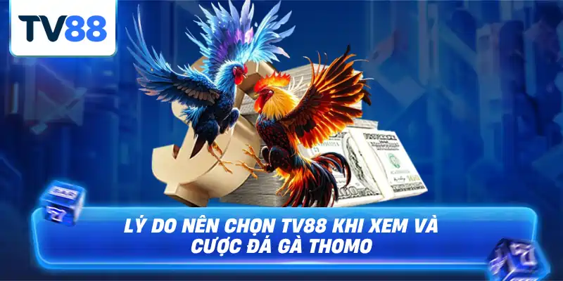 Nhà cái TV88 uy tín số 1 là nơi để anh em lựa chọn và cá cược