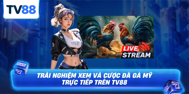 Trải nghiệm trận đấu hấp vẫn và cá cược ring thưởng về